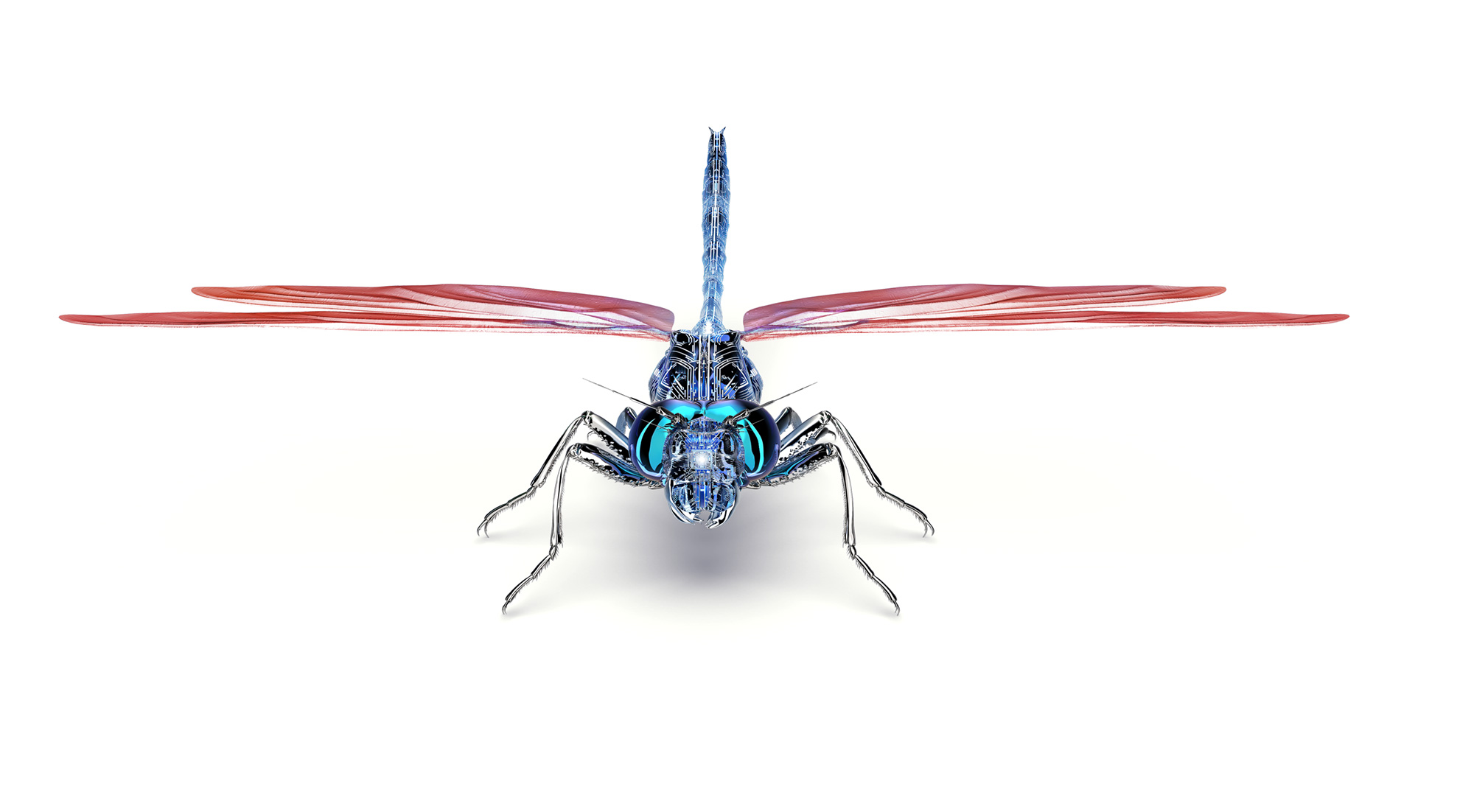 Dragonfly - Remote Audit Solution